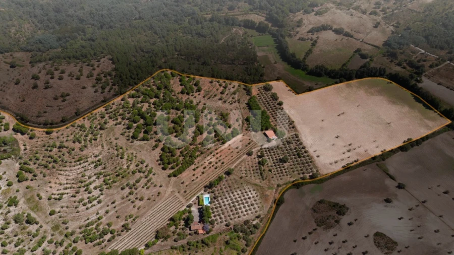 Quinta T4 para Venda em Ninho do Açor e Sobral do Campo Foto 38