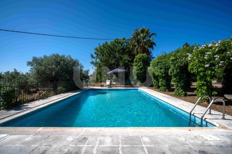 Quinta T4 para Venda em Ninho do Açor e Sobral do Campo Foto 5