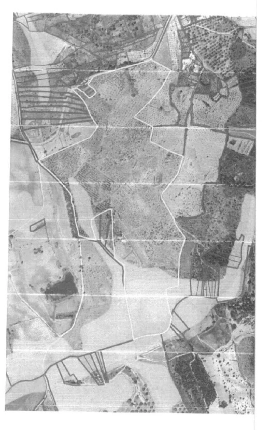 Quinta T4 para Venda em Ninho do Açor e Sobral do Campo Planta 1