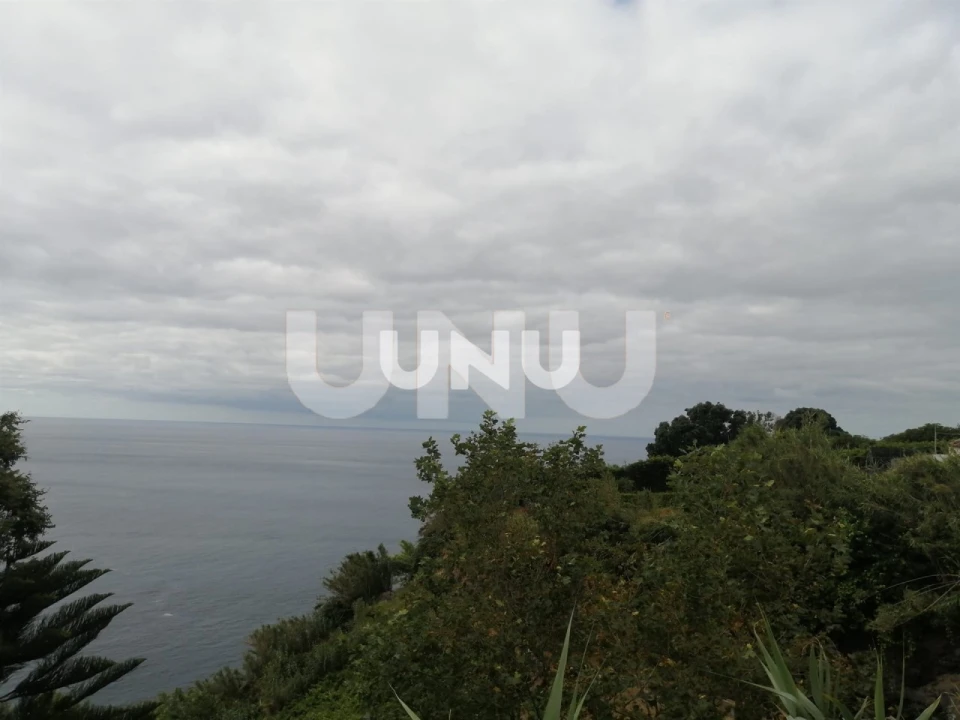 Negócio para Venda em Ponta Garça Foto 14