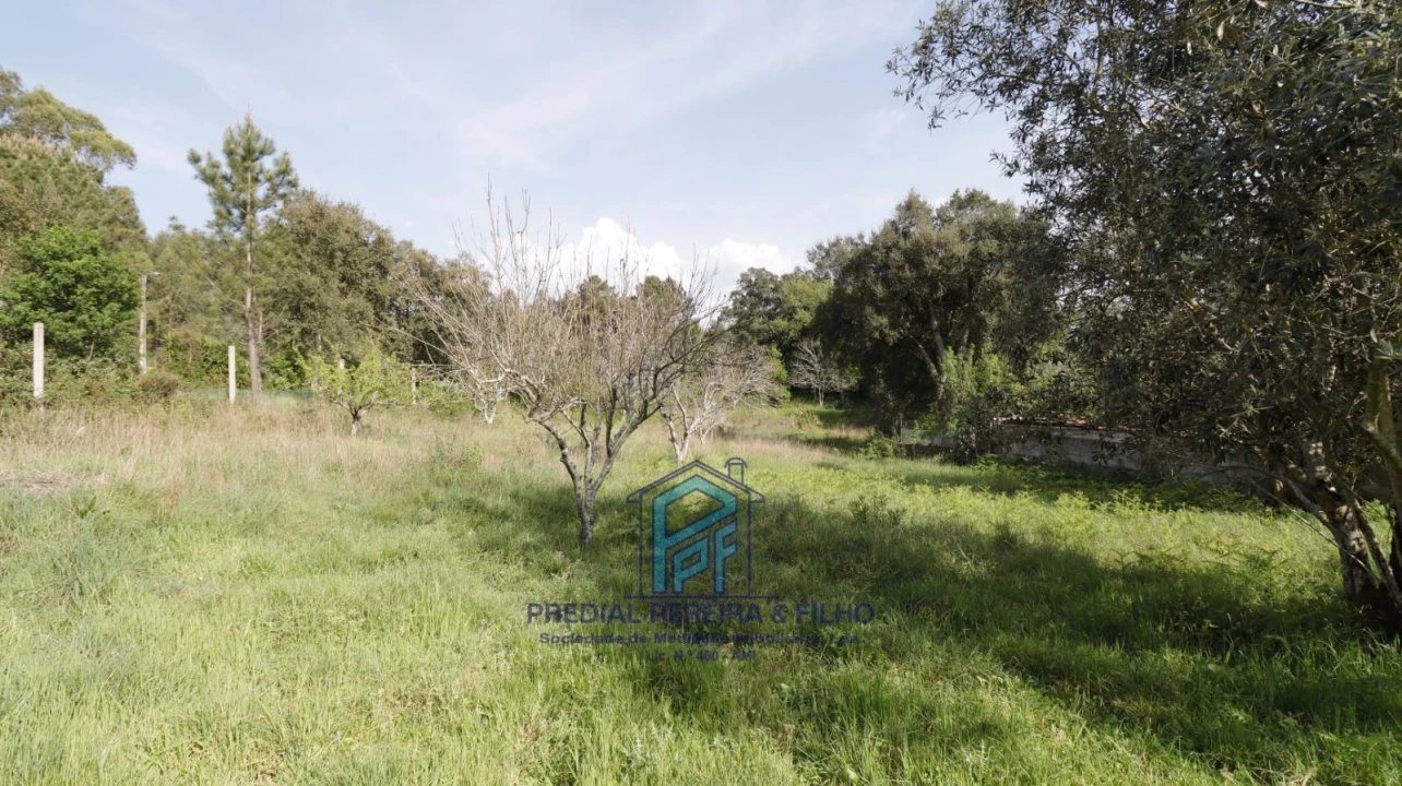 Terreno Misto para Venda em Melres e Medas Foto 10