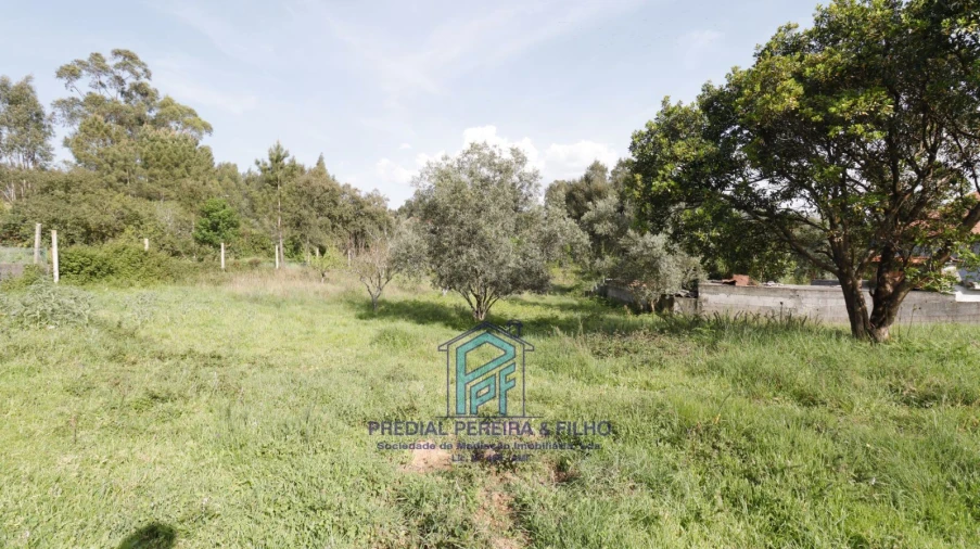 Terreno Misto para Venda em Melres e Medas Foto 11