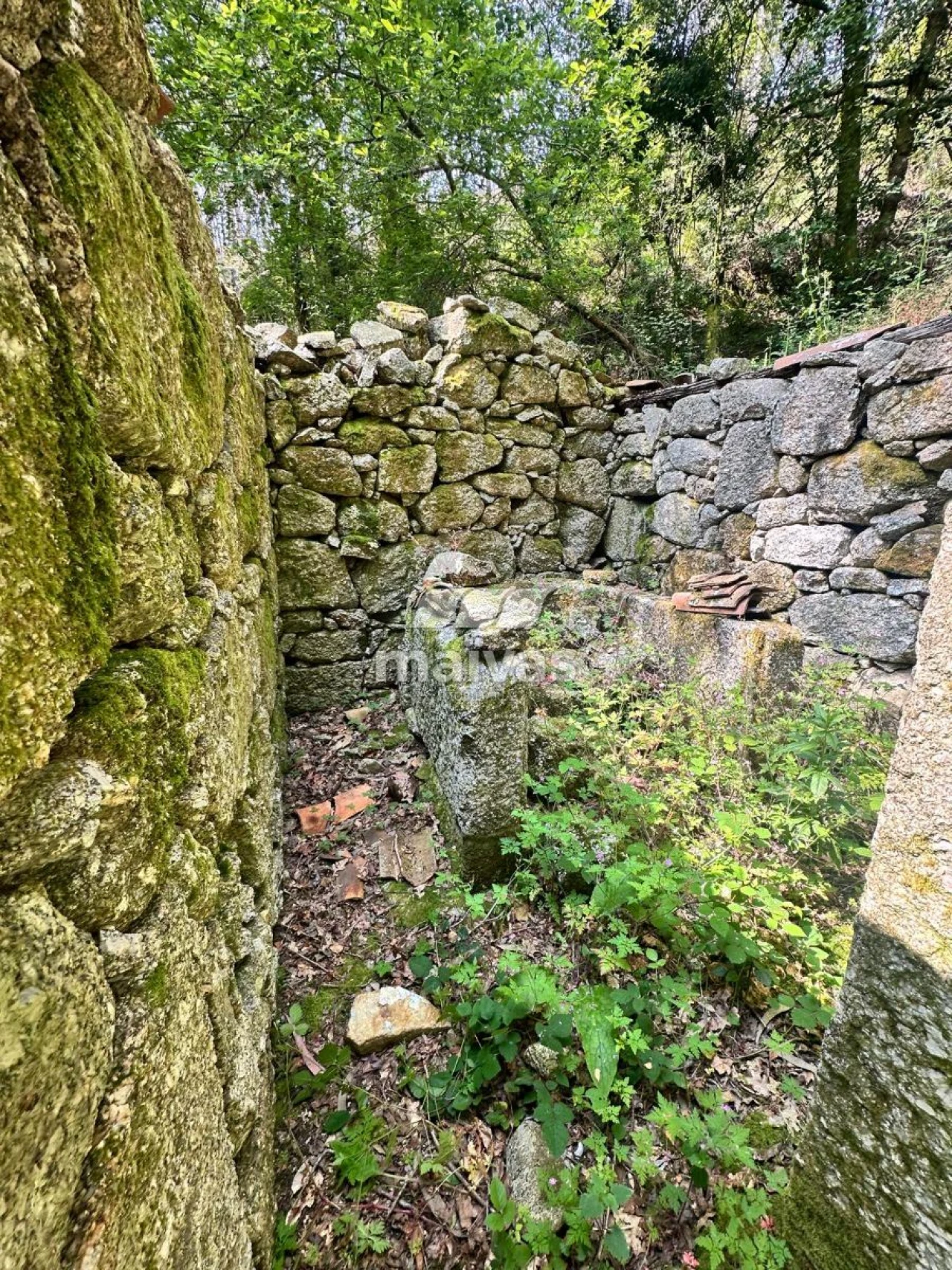 Quinta T0 para Venda em Bouro (Santa Maria) Foto 3