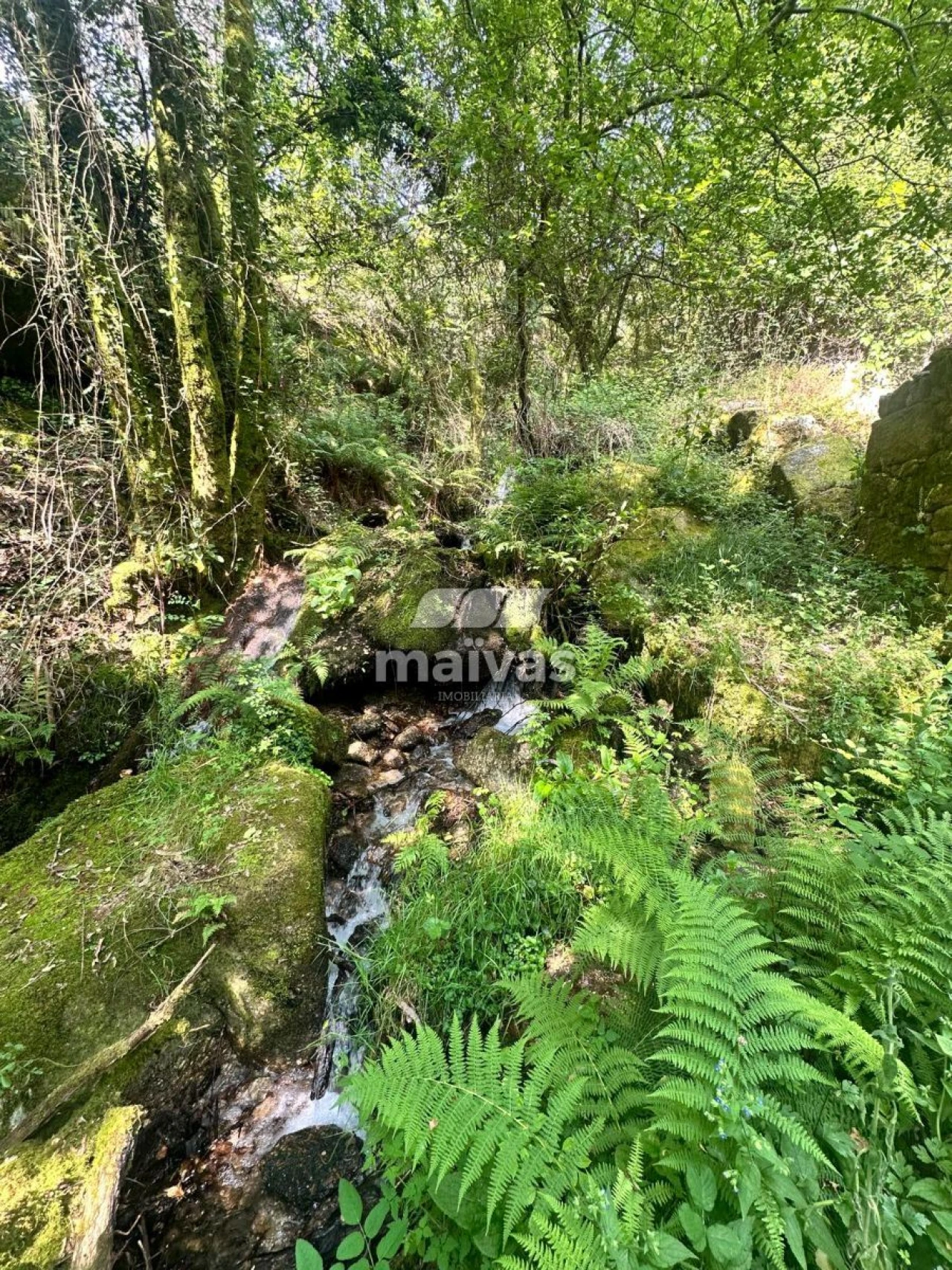 Quinta T0 para Venda em Bouro (Santa Maria) Foto 7