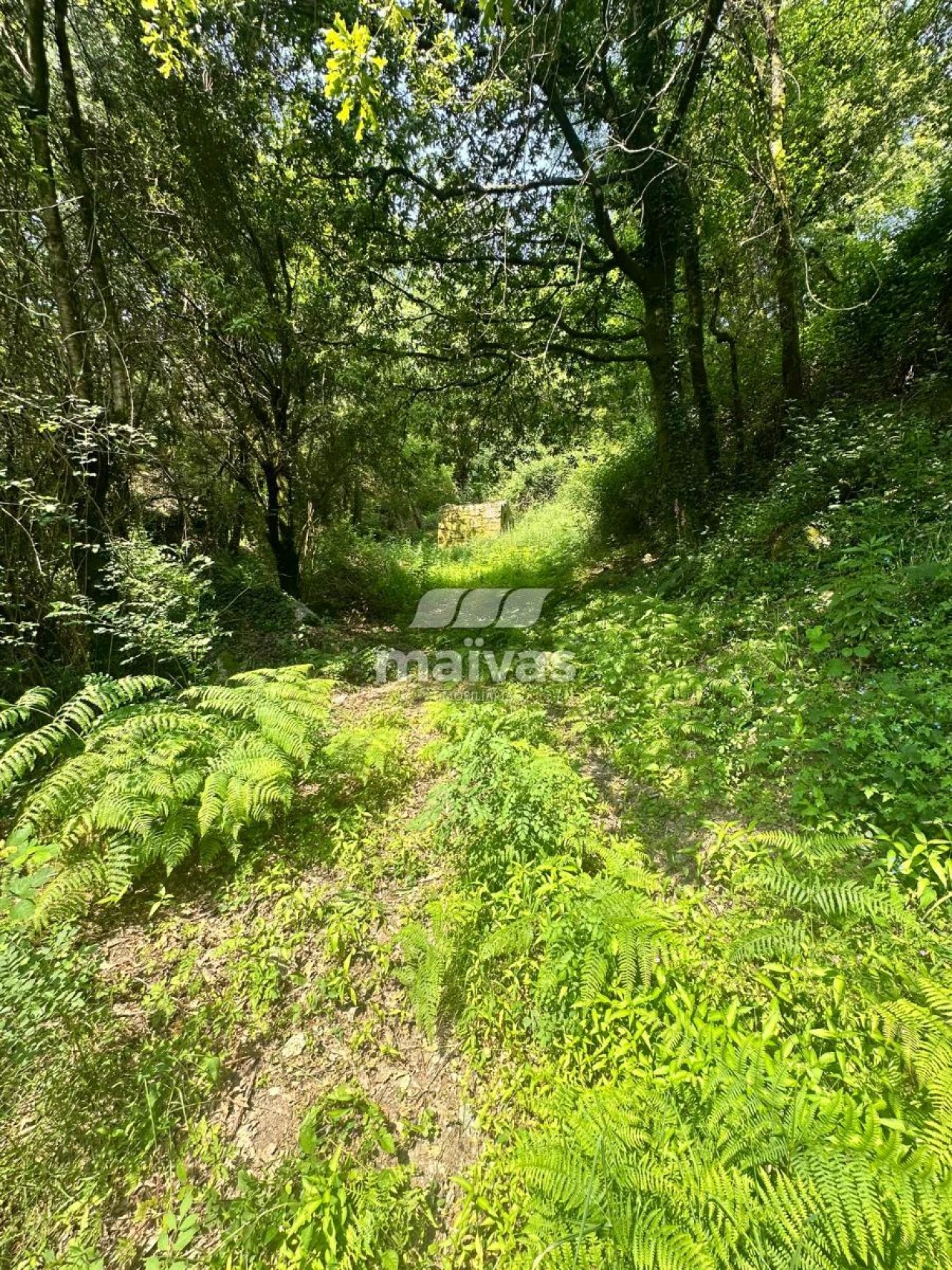 Quinta T0 para Venda em Bouro (Santa Maria) Foto 11