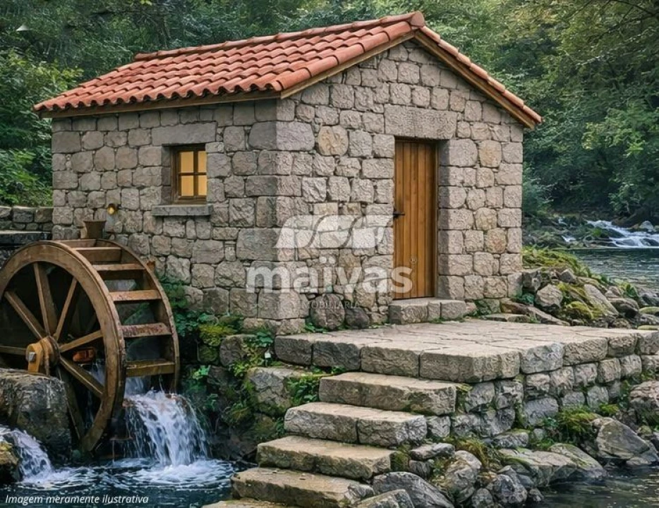 Quinta T0 para Venda em Bouro (Santa Maria) Foto 4