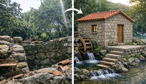 Quinta T0 para Venda em Bouro (Santa Maria)