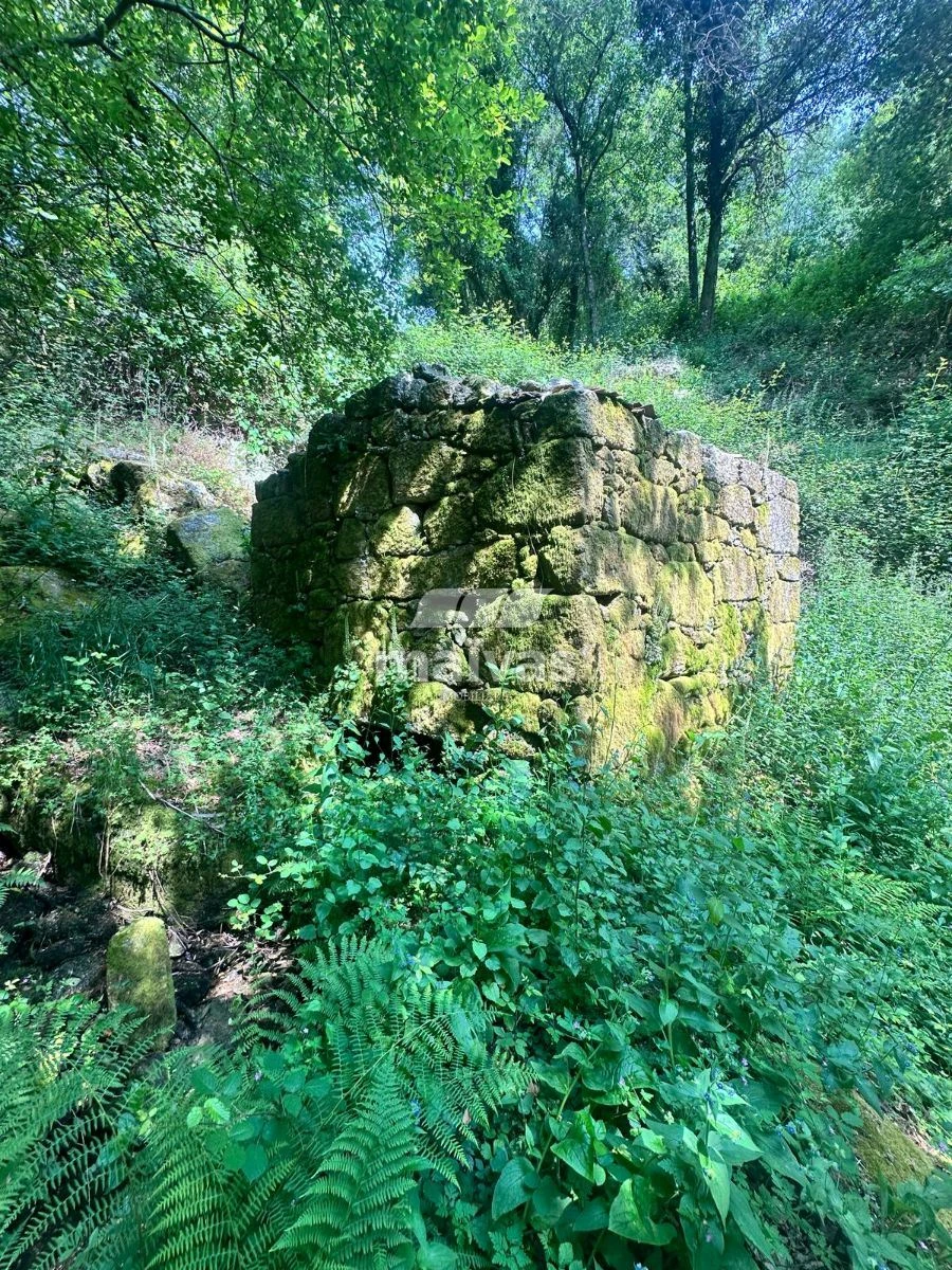 Quinta T0 para Venda em Bouro (Santa Maria) Foto 5