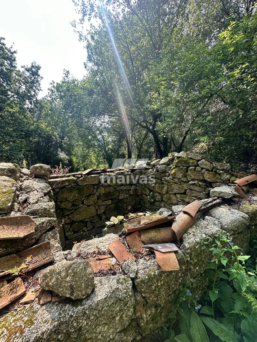 Quinta T0 para Venda em Bouro (Santa Maria) Foto 2