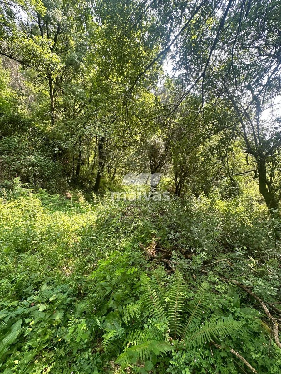 Quinta T0 para Venda em Bouro (Santa Maria) Foto 10