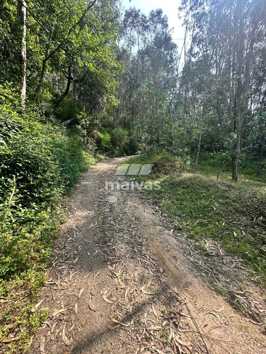 Quinta T0 para Venda em Bouro (Santa Maria) Foto 13