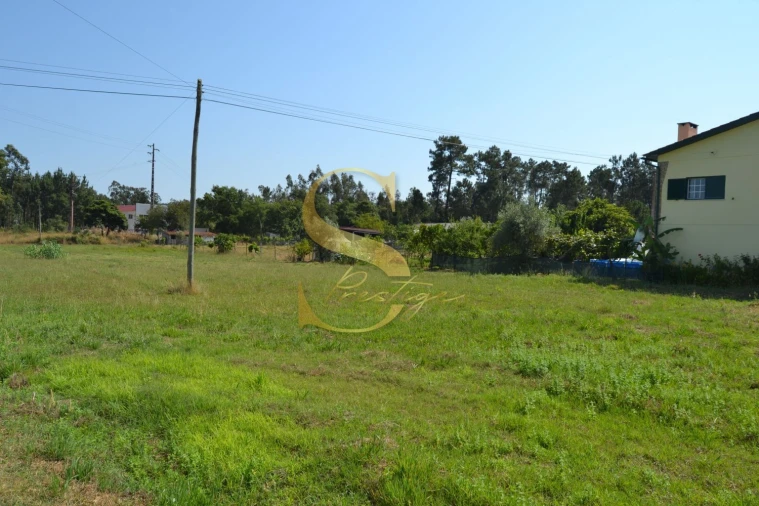 Moradia T4 para Venda em Guia, Ilha e Mata Mourisca Foto 42