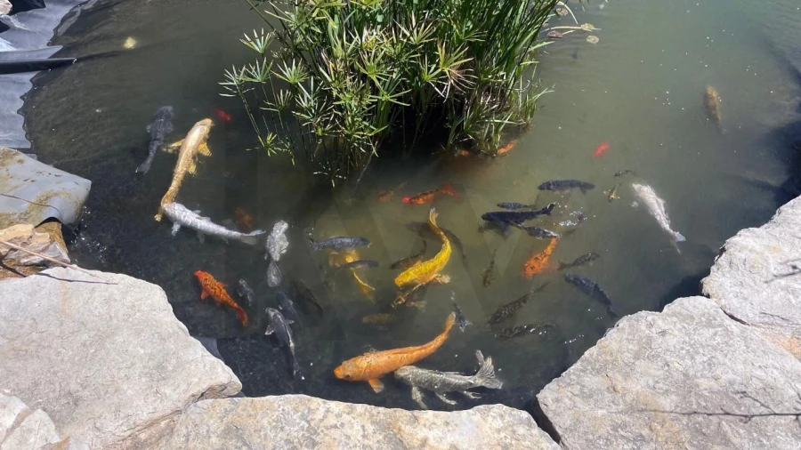 Moradia T5 para Venda em Luz Foto 50