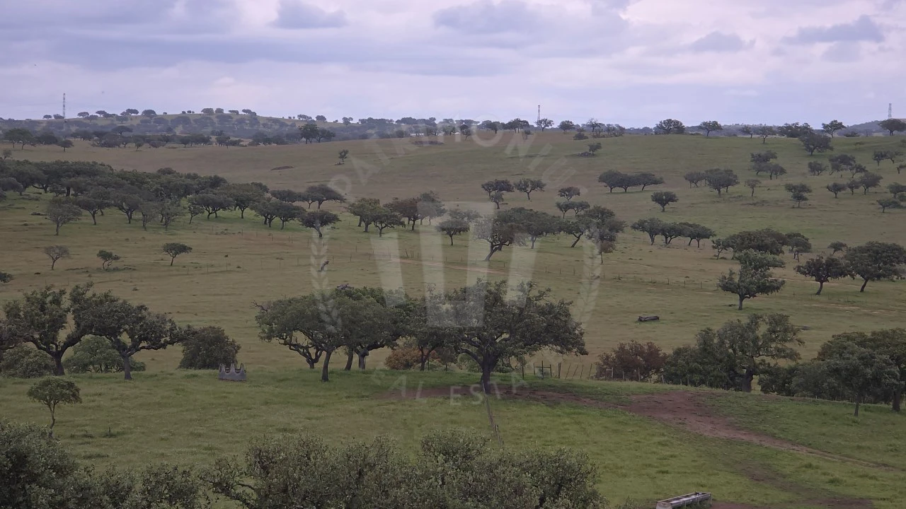 Quinta para Venda em Ourique Foto 8