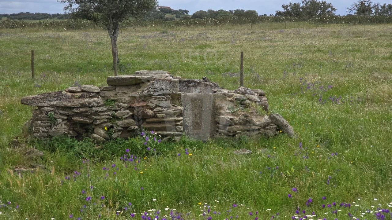 Quinta para Venda em Ourique Foto 9