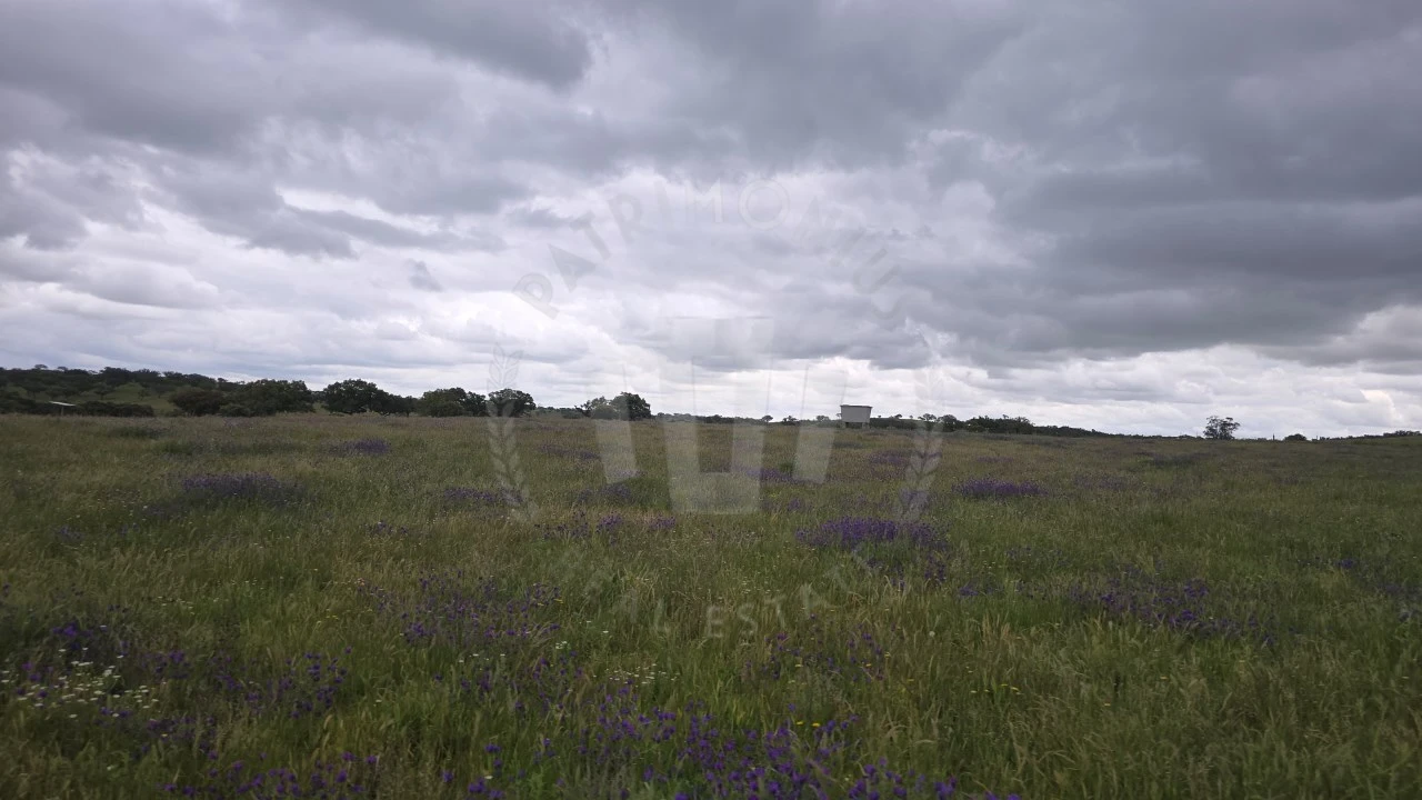 Quinta para Venda em Ourique Foto 17
