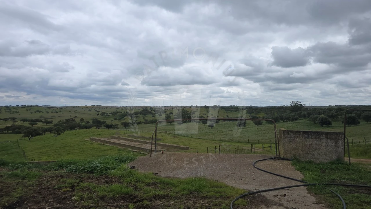 Quinta para Venda em Ourique Foto 19