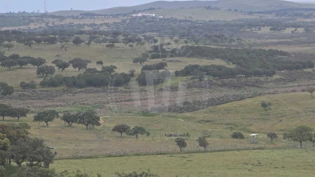 Quinta para Venda em Ourique Foto 20
