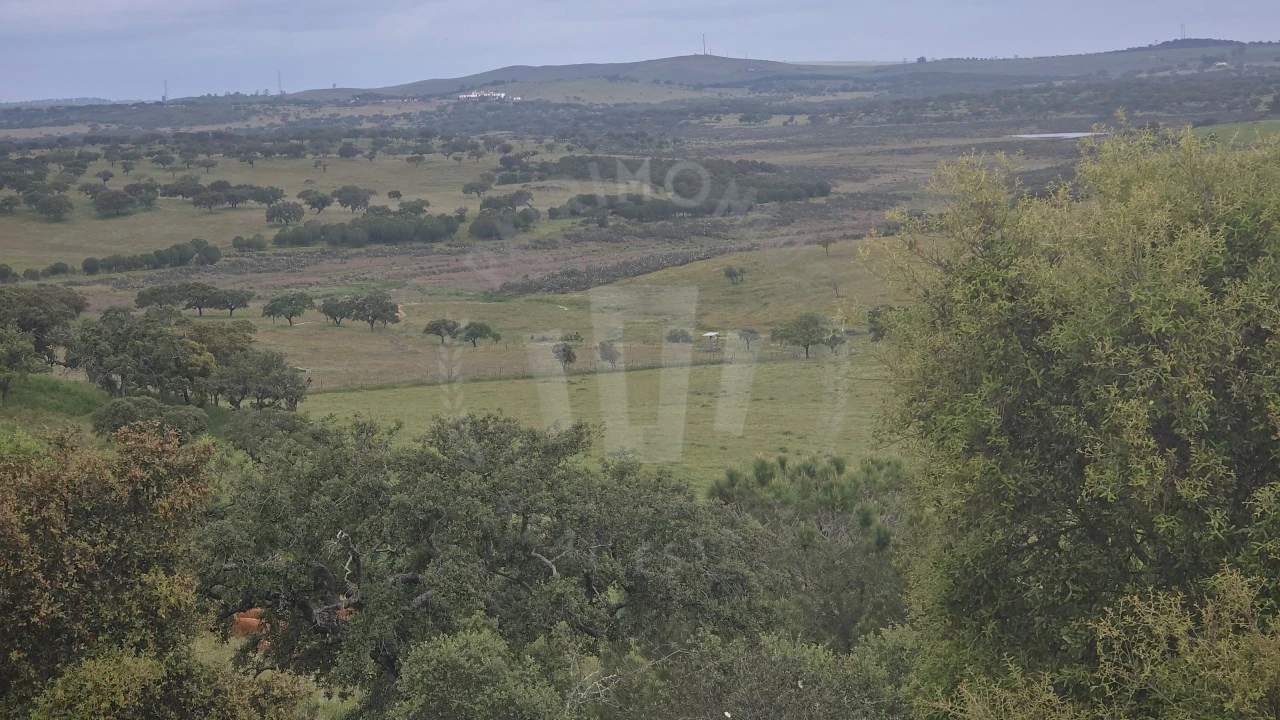 Quinta para Venda em Ourique Foto 28