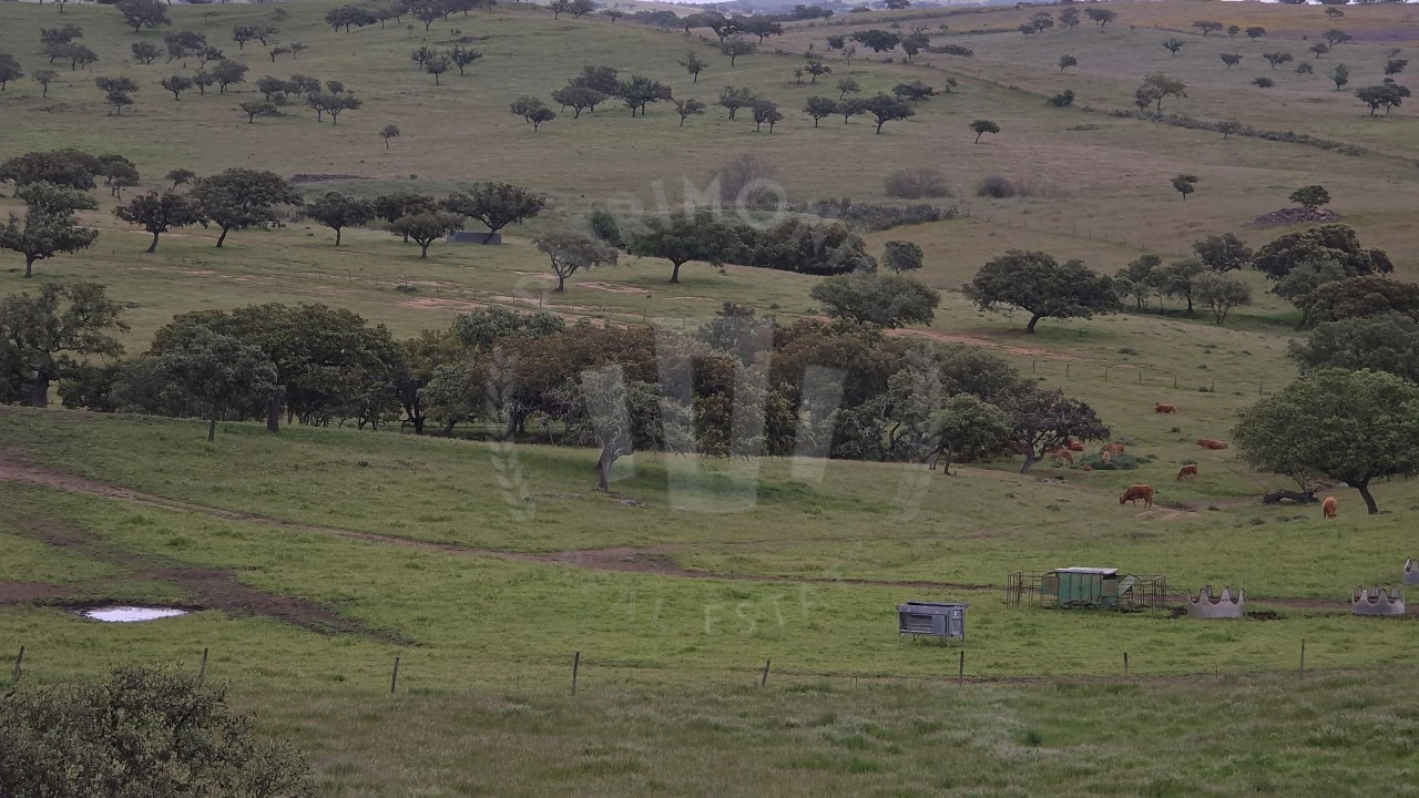 Quinta para Venda em Ourique Foto 55