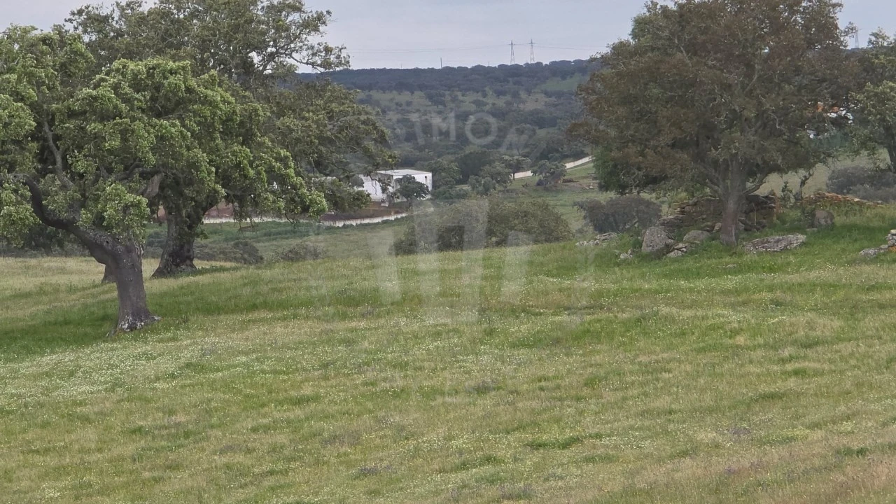 Quinta para Venda em Ourique Foto 29