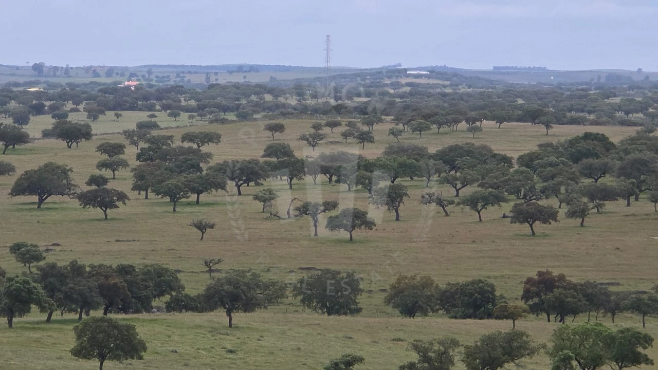 Quinta para Venda em Ourique Foto 36