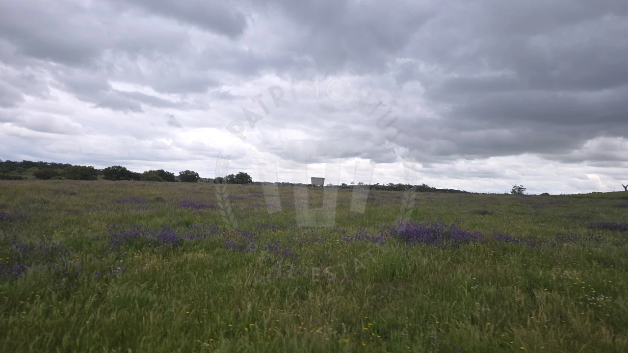 Quinta para Venda em Ourique Foto 38