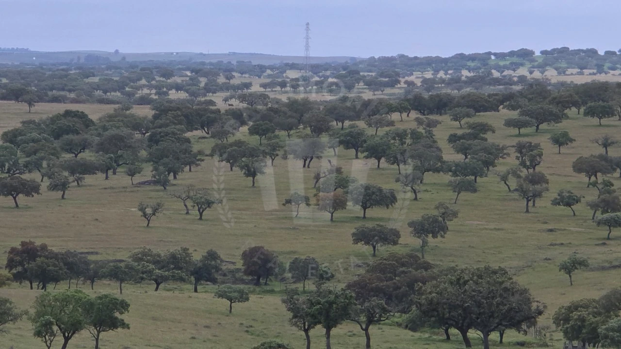 Quinta para Venda em Ourique Foto 53