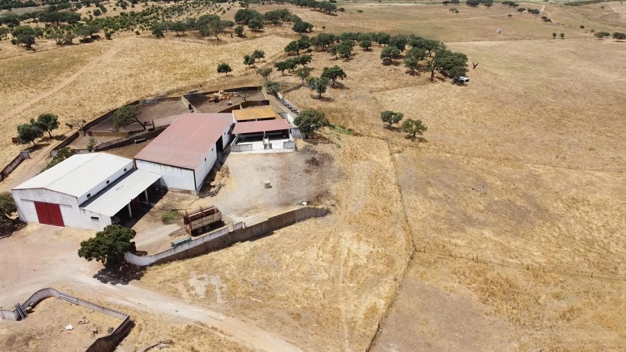 Quinta para Venda em Ourique Foto 30