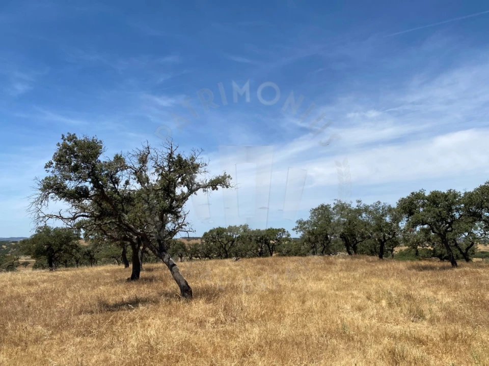 Quinta para Venda em Ourique Foto 41