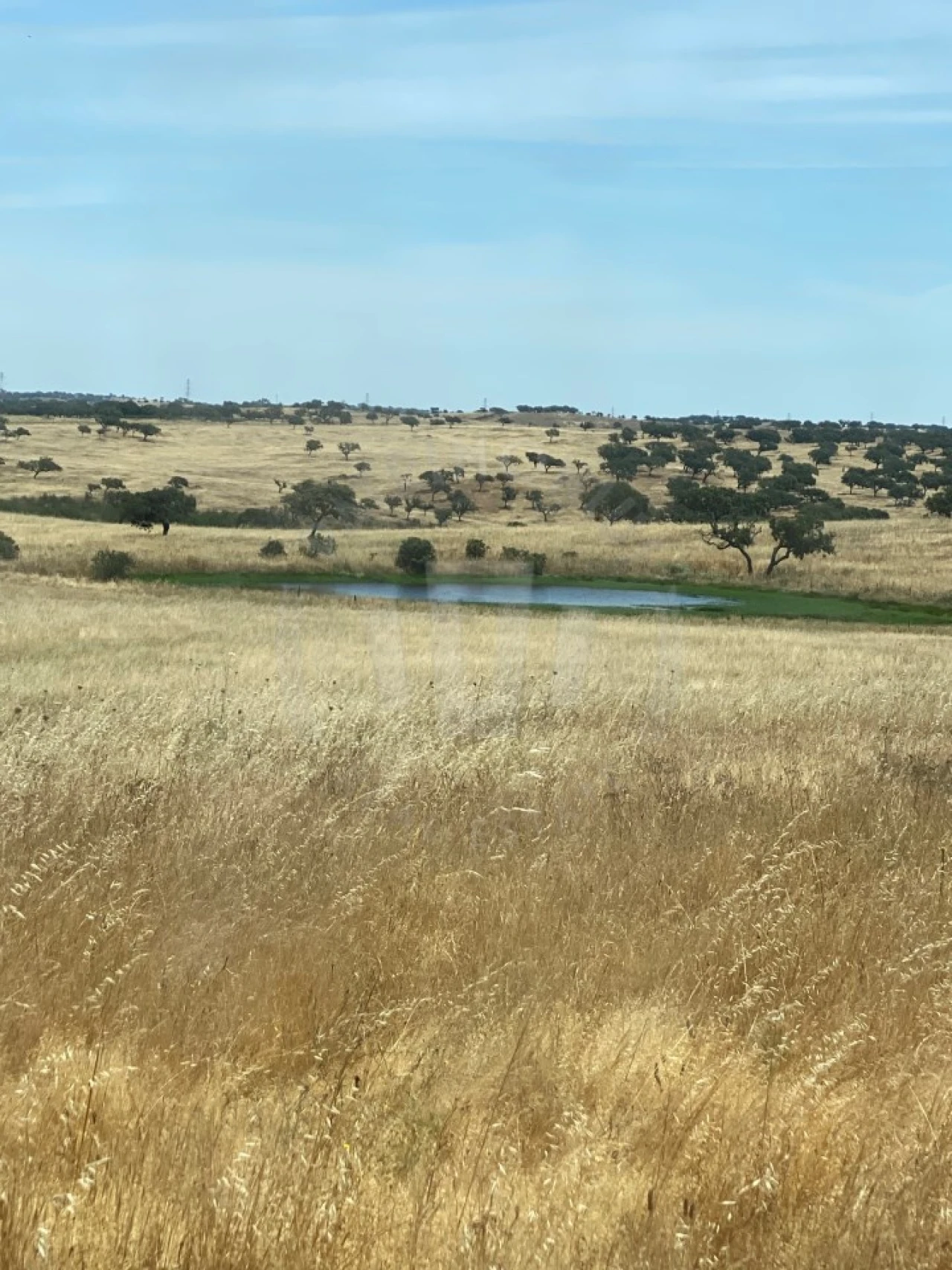 Quinta para Venda em Ourique Foto 48