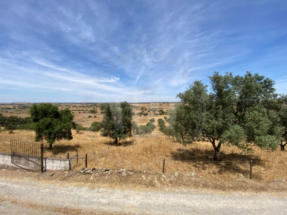 Quinta para Venda em Ourique Foto 54