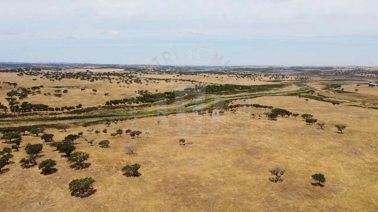 Quinta para Venda em Ourique Foto 61