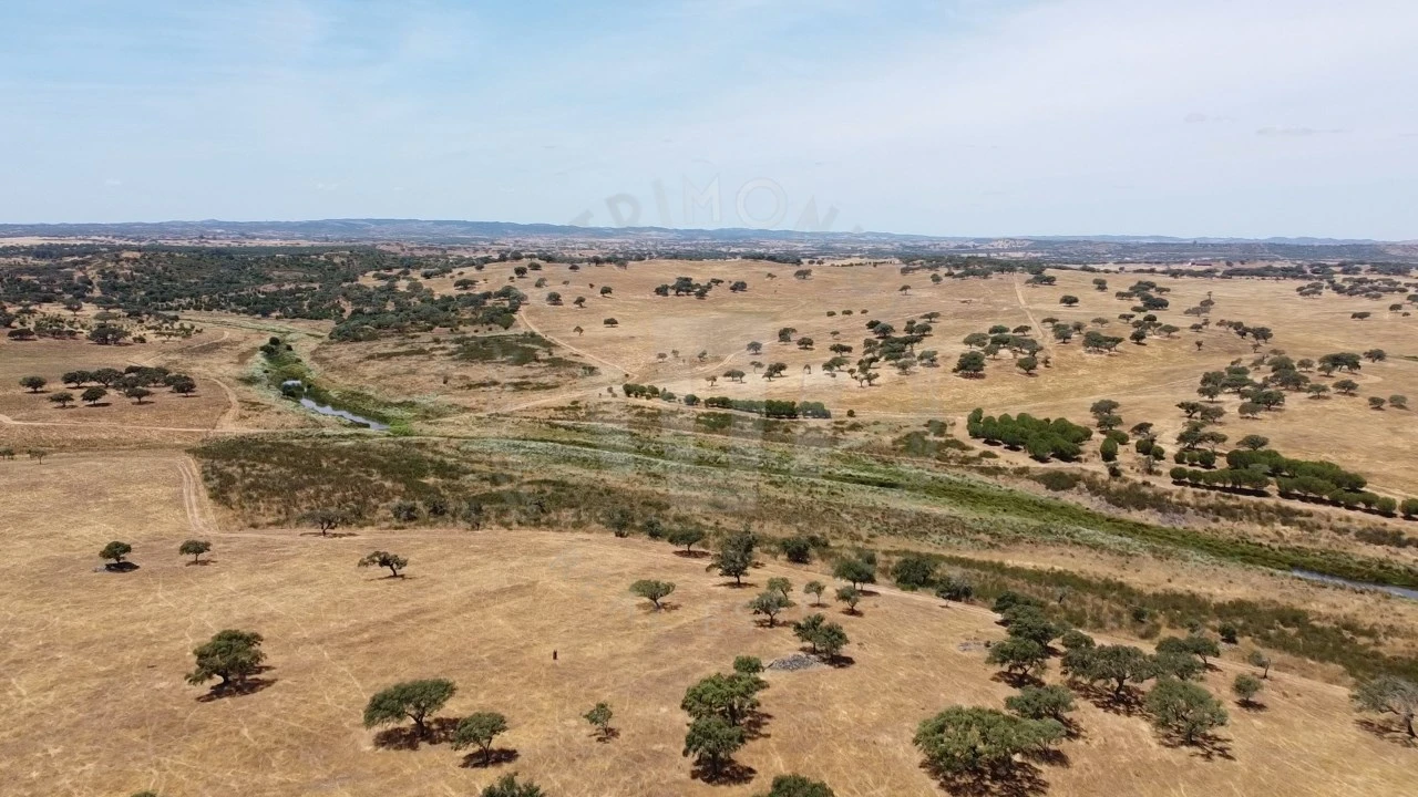 Quinta para Venda em Ourique Foto 62