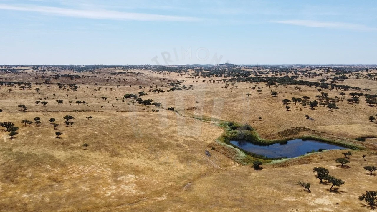 Quinta para Venda em Ourique Foto 63
