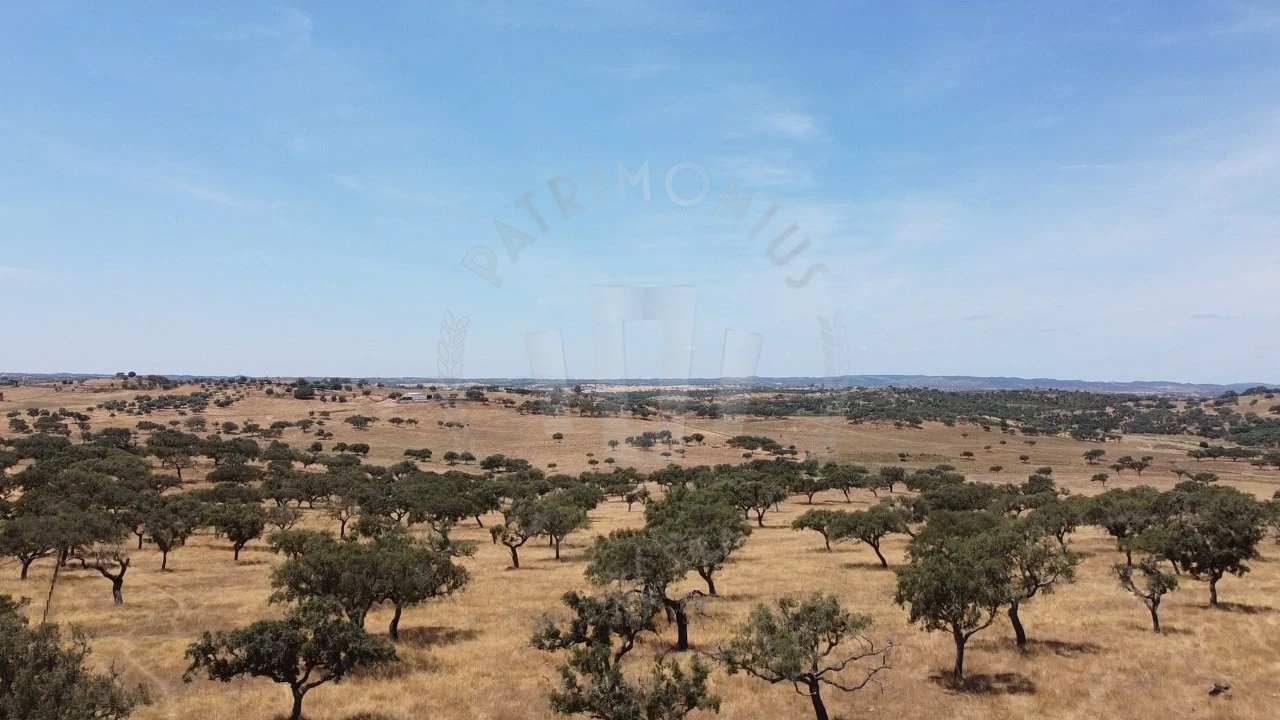 Quinta para Venda em Ourique Foto 66
