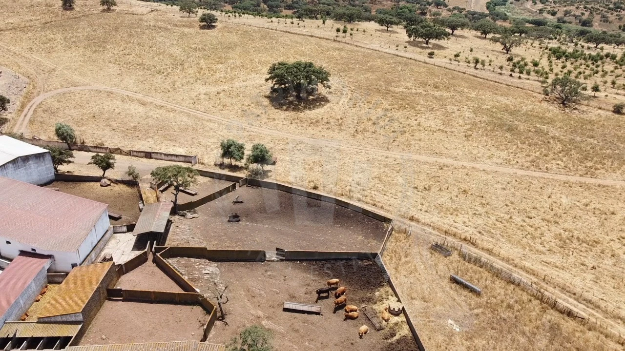 Quinta para Venda em Ourique Foto 68