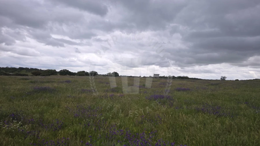 Quinta para Venda em Ourique Foto 17