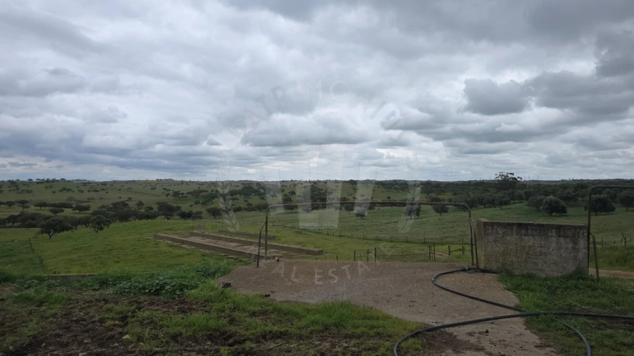 Quinta para Venda em Ourique Foto 19