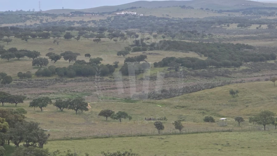 Quinta para Venda em Ourique Foto 20