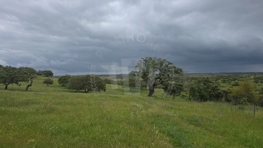 Quinta para Venda em Ourique Foto 23