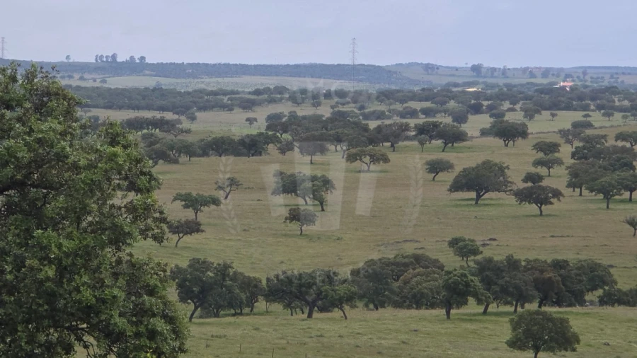 Quinta para Venda em Ourique Foto 24