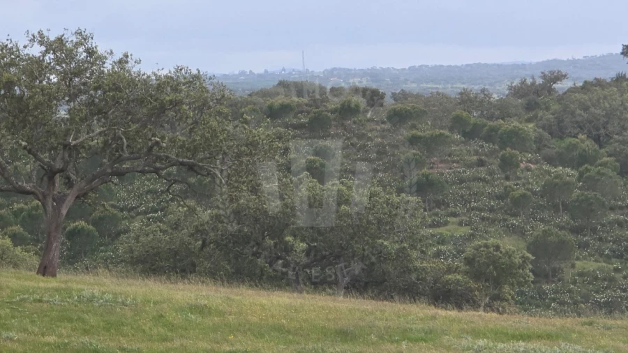 Quinta para Venda em Ourique Foto 25
