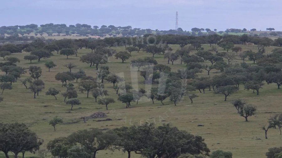 Quinta para Venda em Ourique Foto 26