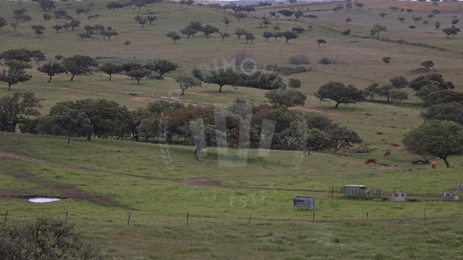 Quinta para Venda em Ourique Foto 55