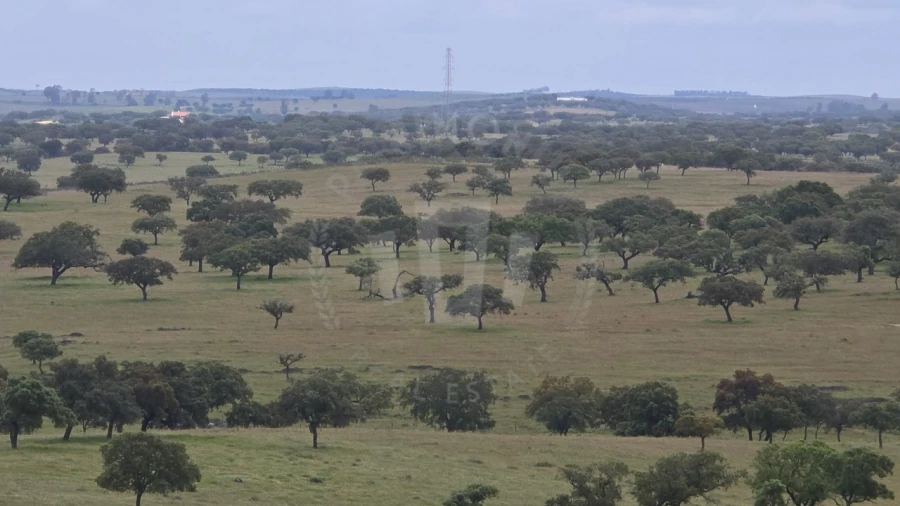 Quinta para Venda em Ourique Foto 36