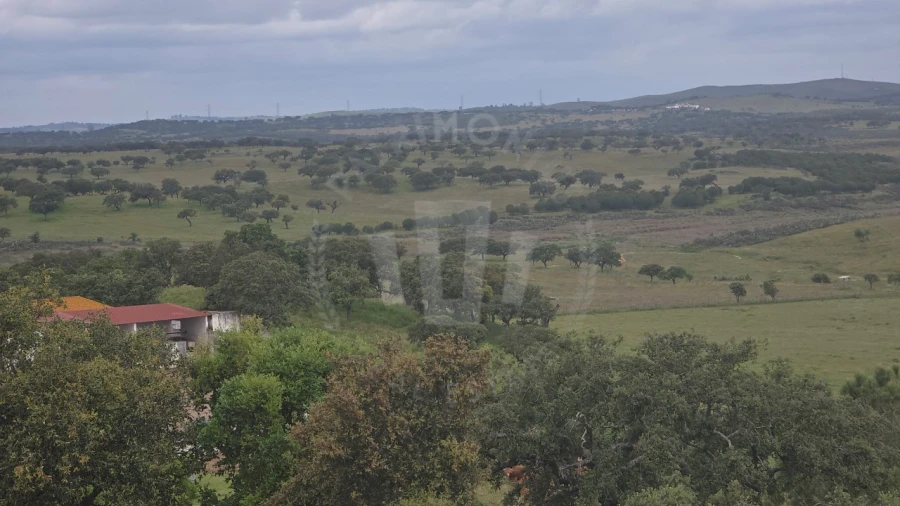 Quinta para Venda em Ourique Foto 40