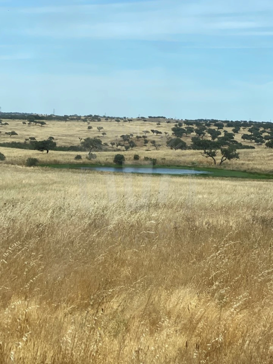 Quinta para Venda em Ourique Foto 48