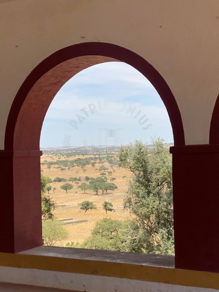 Quinta para Venda em Ourique Foto 51