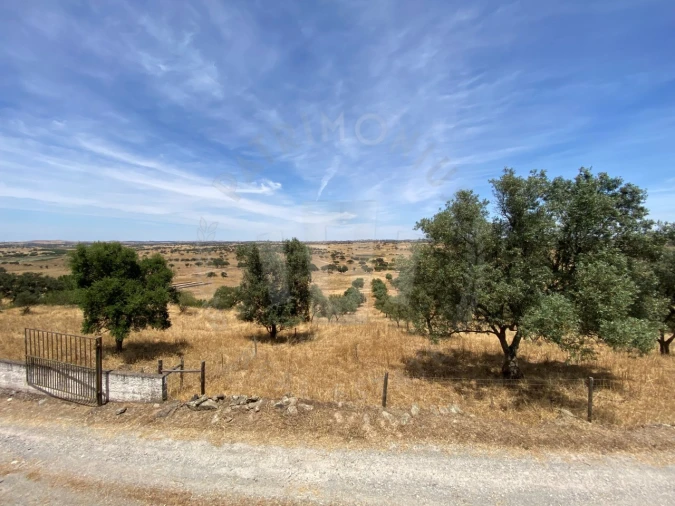 Quinta para Venda em Ourique Foto 54